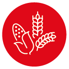 distributori prodotti alimentari riso legumi cereali ingrosso per ristorazione