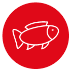 pesce surgelato per ristorazione