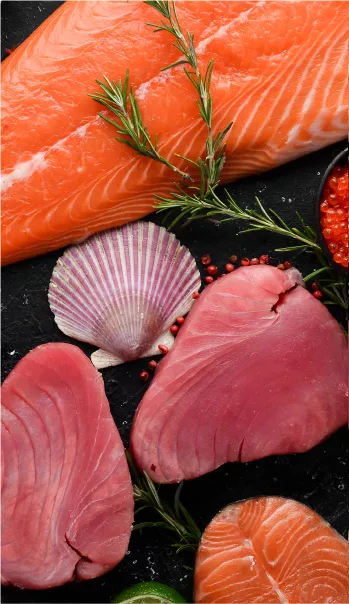 tonno pesce spada salmone surgelato per ristorazione gout